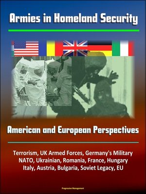 cover image of Armies in Homeland Security